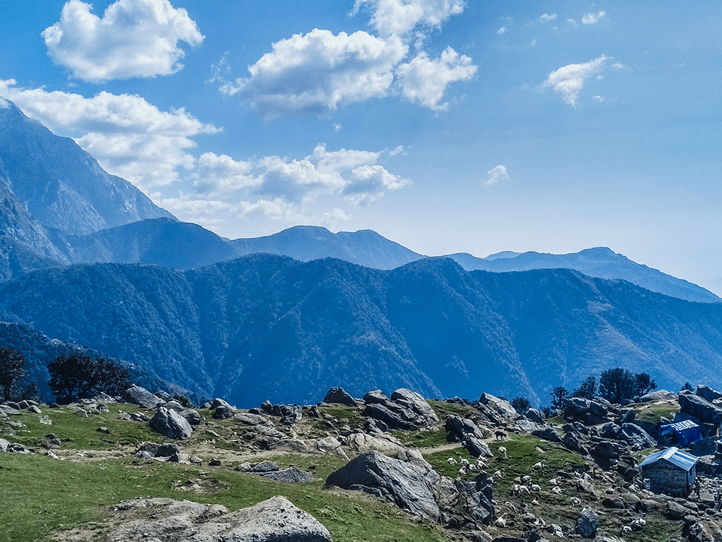 Mcleodganj-Triund Trek